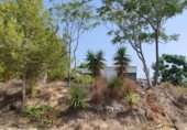 Land suitable for development for sale on Camí Xarcos Secs, Torrent, ref: TR307455 photo