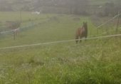 Land suitable for development for sale on Calle rebollada, La Rebollada, ref: TR307528 photo