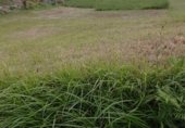 Land suitable for development for sale on Calle rebollada, La Rebollada, ref: TR307528 photo
