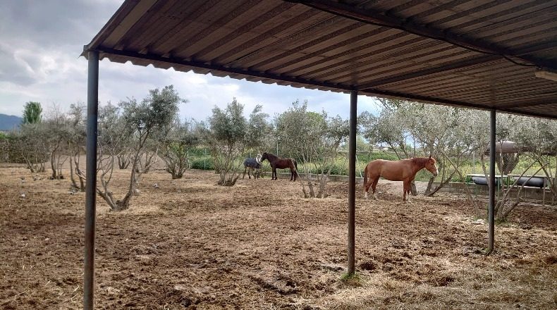 Granada - La Zubia - 12000m2