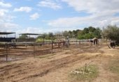 Земельный участок на продажу в городе Ла-Субиа Фото