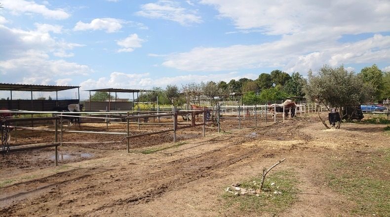 Granada - La Zubia - 12000m2
