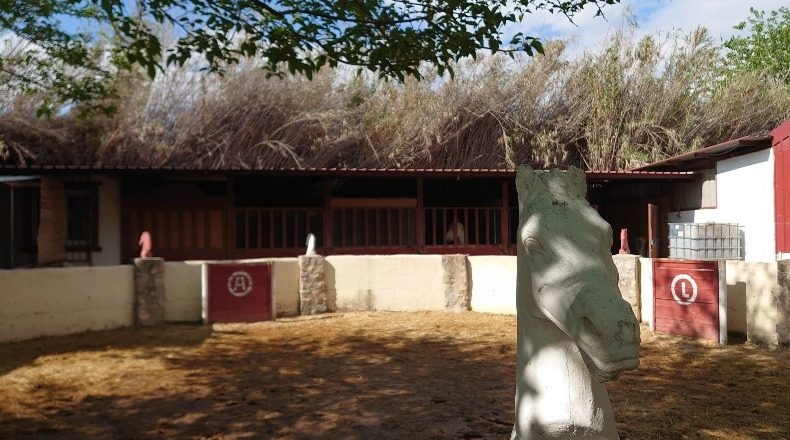 Granada - La Zubia - 12000m2
