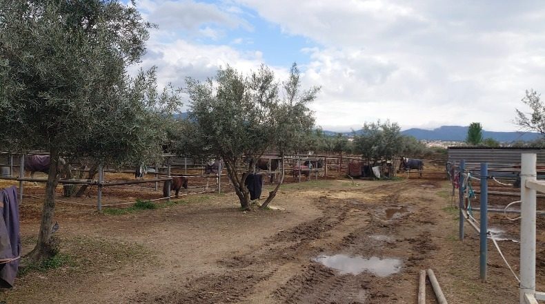 Granada - La Zubia - 12000m2