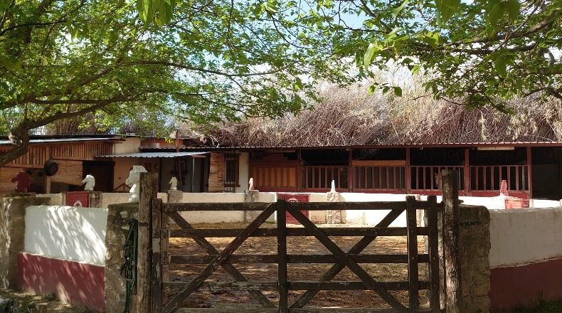 Granada - La Zubia - 12000m2