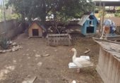 Земельный участок на продажу в городе Ла-Субиа Фото
