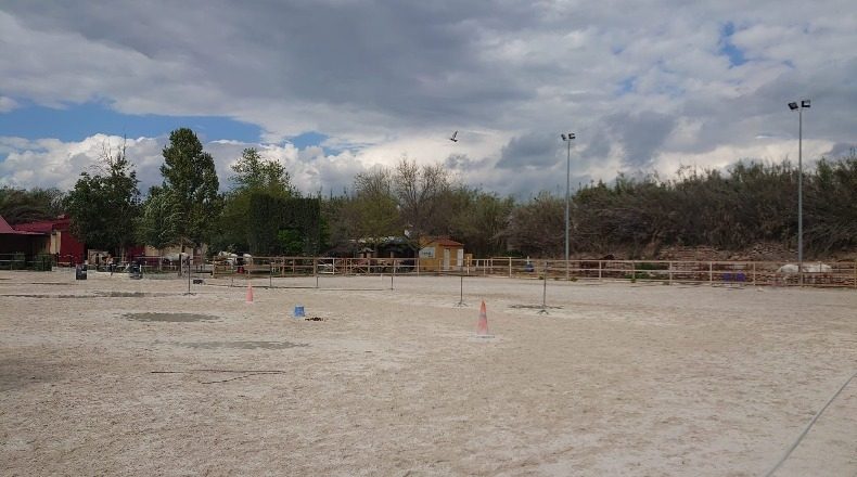 Granada - La Zubia - 12000m2