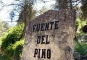 Finca rústica en venda a la Ds Diseminados, Navarrés, ref.: TR307667 foto