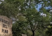 Finca rústica en venda a la Ds Diseminados, Navarrés, ref.: TR307667 foto