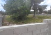 Parcel·la urbanitzable en venda a la Carrer de Deltebre, Cabra del Camp, ref.: TR307761 foto