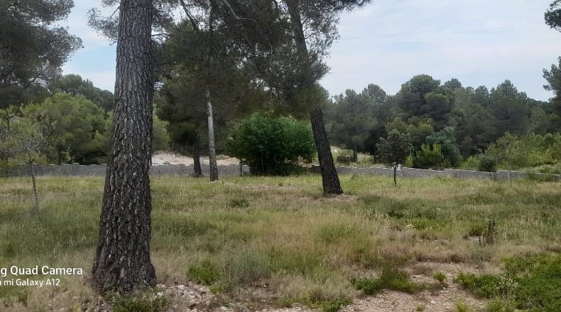 Tarragona - Кабра-дель-Камп - 1500m2