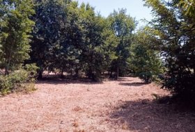 As Quintás 8285&nbsp;m²