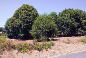 As Quintás 8285&nbsp;m²