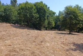 As Quintás 8285&nbsp;m²