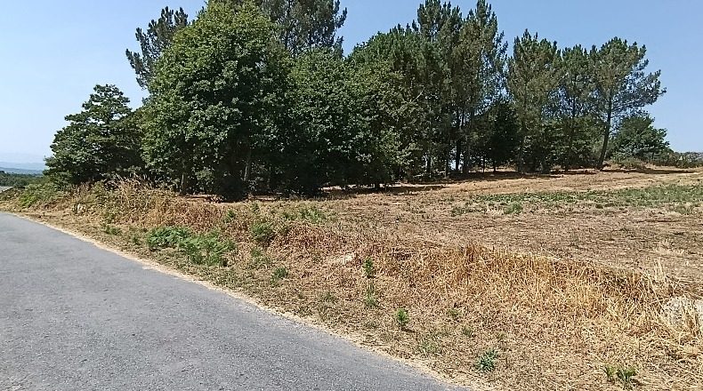 Orense - As Quintás - 8285m2