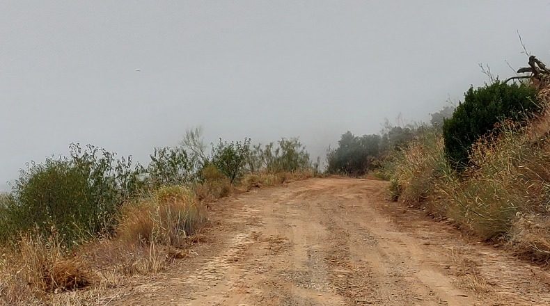 Malaga - Málaga - 118555m2