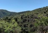 Parcel·la urbanitzable en venda a la 36.8045053344783, Màlaga, ref.: TR307778 foto