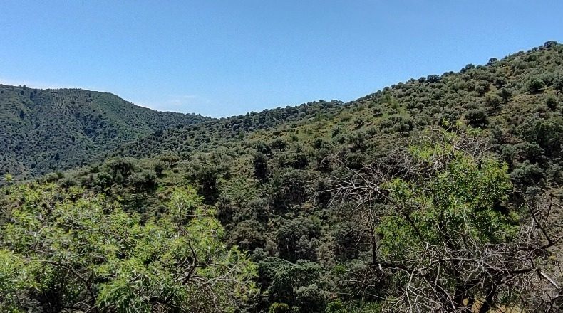Malaga - Málaga - 118555m2
