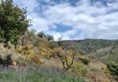 Parcel·la urbanitzable en venda a la 36.8045053344783, Màlaga, ref.: TR307778 foto