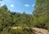 Parcel·la urbanitzable en venda a la Por Casa Forestal Los Quemados (junto finca, El Berro, ref.: TR307803 foto