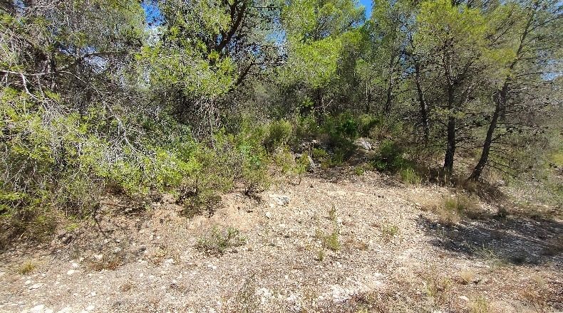 Murcia - El Berro - 11477m2
