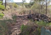 Parcel·la urbanitzable en venda a la Por Casa Forestal Los Quemados (junto finca, El Berro, ref.: TR307803 foto