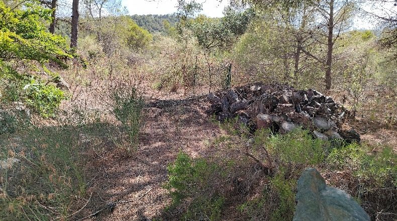 Murcia - El Berro - 11477m2