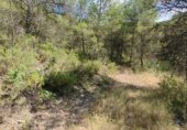 Parcel·la urbanitzable en venda a la Por Casa Forestal Los Quemados (junto finca, El Berro, ref.: TR307803 foto