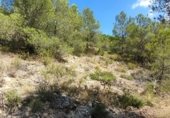 Parcel·la urbanitzable en venda a la Por Casa Forestal Los Quemados (junto finca, El Berro, ref.: TR307803 foto