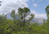 Parcel·la urbanitzable en venda a la Por Casa Forestal Los Quemados (junto finca, El Berro, ref.: TR307803 foto