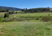 Country house with land for sale on Carretera de Elche de la Sierra a Riopar, Elche de la Sierra, ref: TR110469 photo