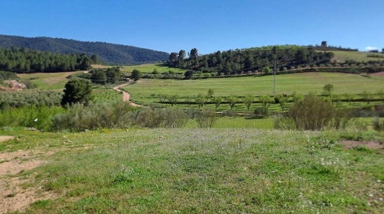 Albacete - Elche de la Sierra - 600000m2