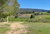 Country house with land for sale on Carretera de Elche de la Sierra a Riopar, Elche de la Sierra, ref: TR110469 photo