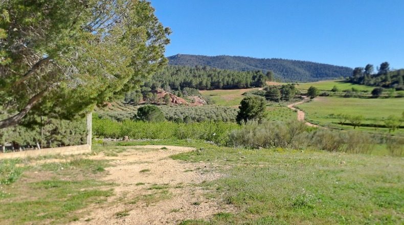 Albacete - Elche de la Sierra - 600000m2