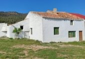 Country house with land for sale on Carretera de Elche de la Sierra a Riopar, Elche de la Sierra, ref: TR110469 photo