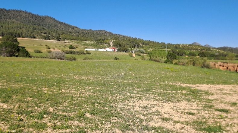 Albacete - Elche de la Sierra - 600000m2