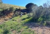 Country house with land for sale on Carretera de Elche de la Sierra a Riopar, Elche de la Sierra, ref: TR110469 photo