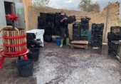 Industrial warehouse for sale on Cortijo el Medico S/N, Lobras, ref: TR307843 photo