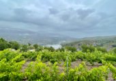 Industrial warehouse for sale on Cortijo el Medico S/N, Lobras, ref: TR307843 photo