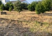 Xalet independent amb terreny en venda a la Finca las Calabrías S/N, Mèrida, ref.: TR307840 foto