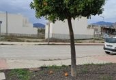 Sòl urbà en venda a la Calle Carlos III, Archena, ref.: TR307860 foto