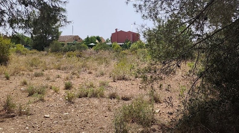 València - La Eliana - 29058m2