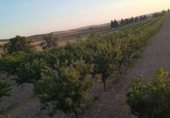 Участок с хранилищем на продажу в городе Альмагро Фото