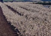 Участок с хранилищем на продажу в городе Альмагро Фото