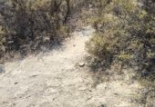 Land suitable for development for sale on CABO HUERTAS, Alicante, ref: TR307886 photo