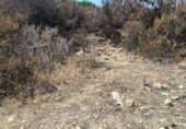 Land suitable for development for sale on CABO HUERTAS, Alicante, ref: TR307886 photo