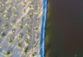 Загородный дом с участком на продажу в городе Хаэн Фото