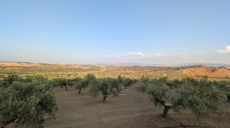 Jaén - Jaén - 210000m2