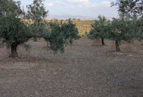 Foto 18