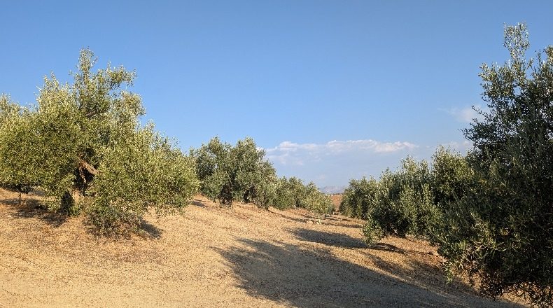 Jaén - Jaén - 210000m2